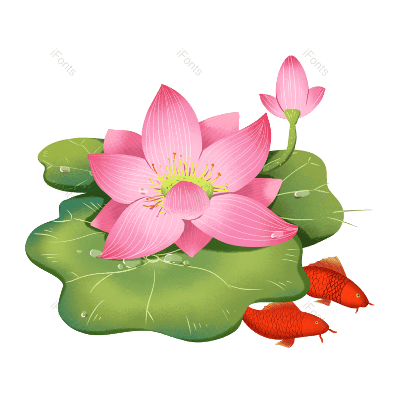 荷花图片,夏天元素,荷叶PNG,免抠素材